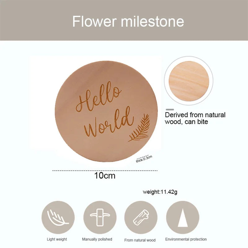 Baby Milestone Photo Props